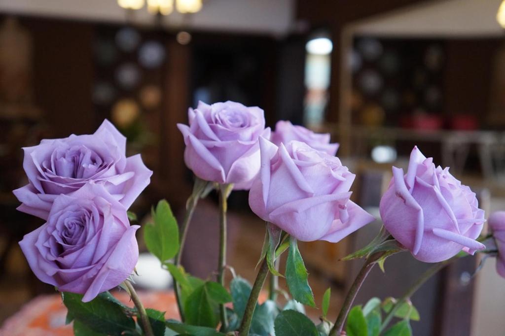 Don Ramon Hotel & Spa กาเนรา ภายนอก รูปภาพ